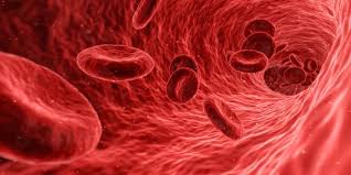 ¿Qué son Las Células Sanguíneas?