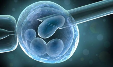 cómo se extraen las células madres