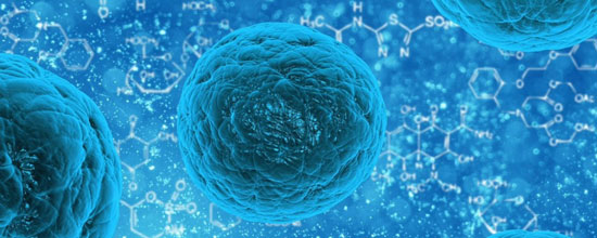 uso de las células madres