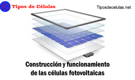 Construcción y funcionamiento de las células fotovoltaicas
