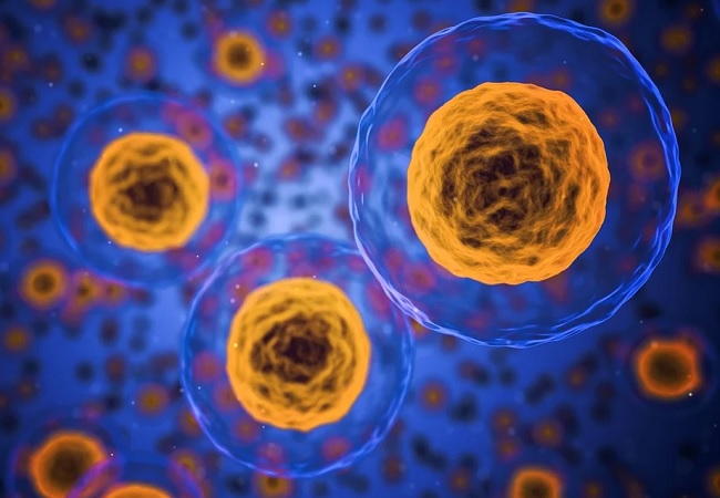 cómo afectan los SARMS a las células